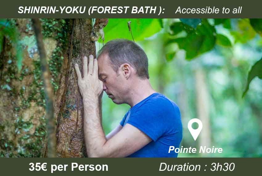 shinrin yoku guadeloupe