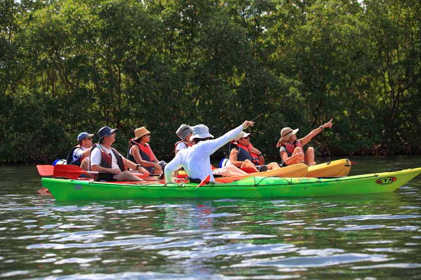 Kayak Guadeloupe randonnée mangrove et îlets en Guadeloupe Yalodé
