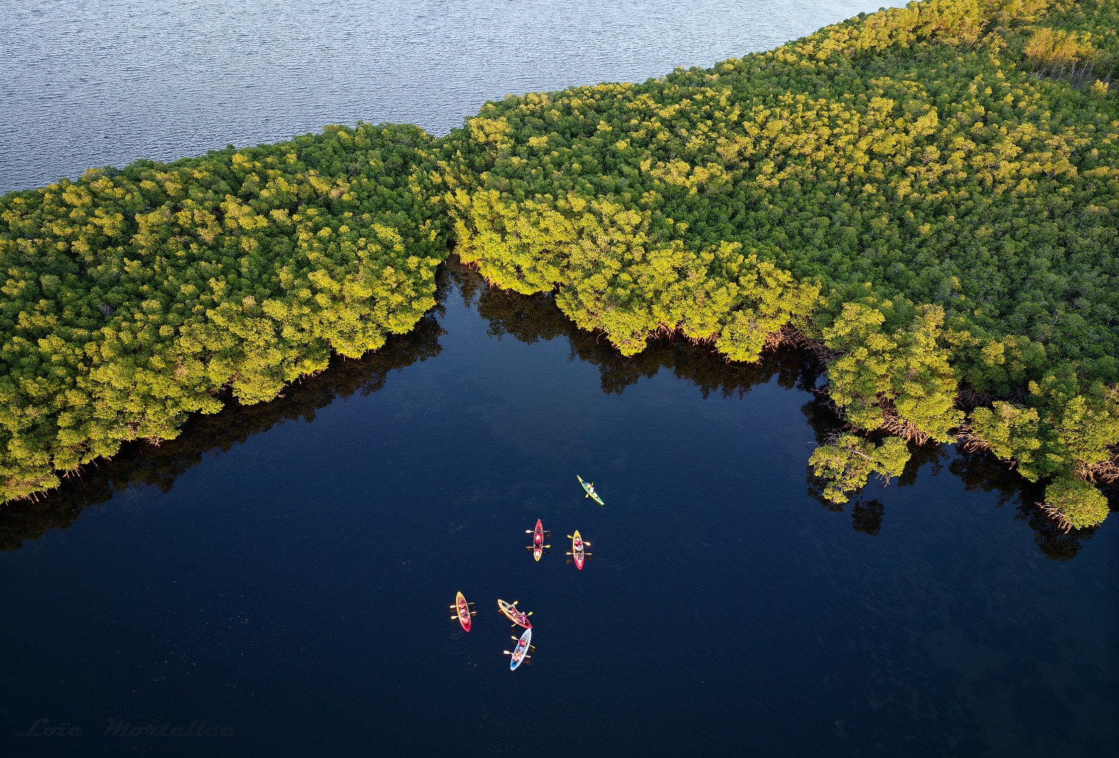 WhatsApp Image 2025-12-23 at 15.11.28