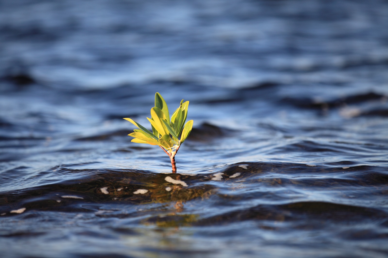 WhatsApp Image 2025-12-23 at 15.11.47