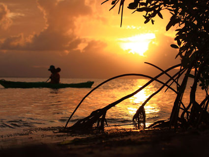 canoë kayak guadeloupe