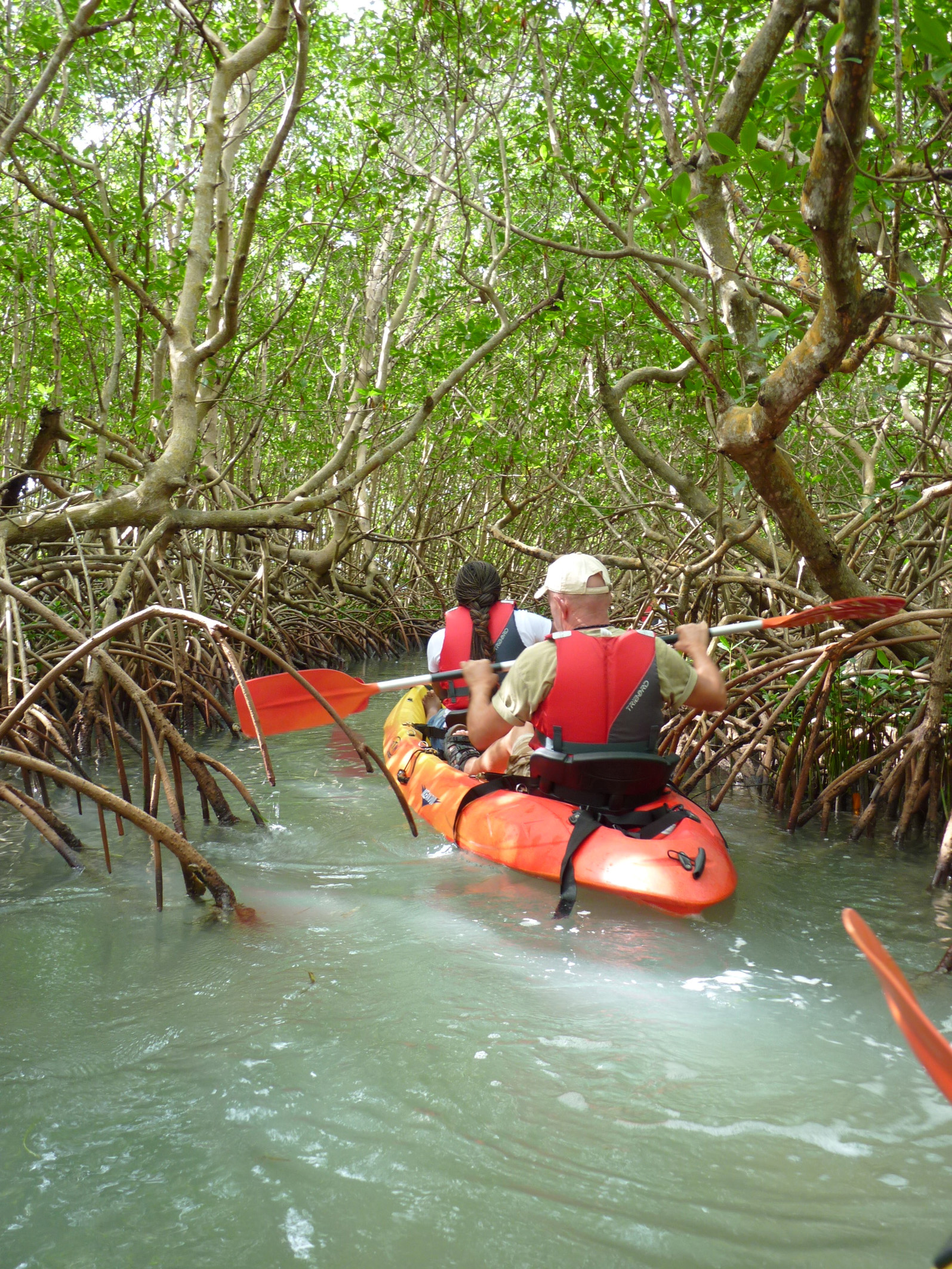 kayak guadeloupe