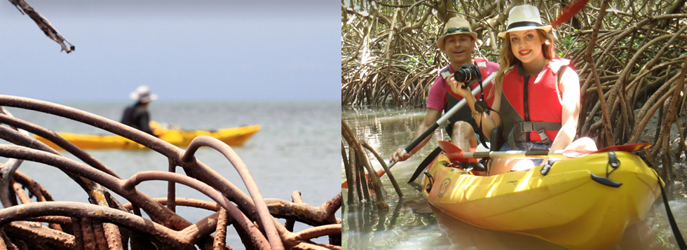 yalode kayak Guadeloupe