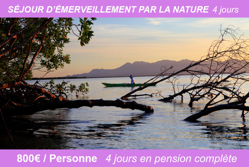 deep walk marche du temps profond