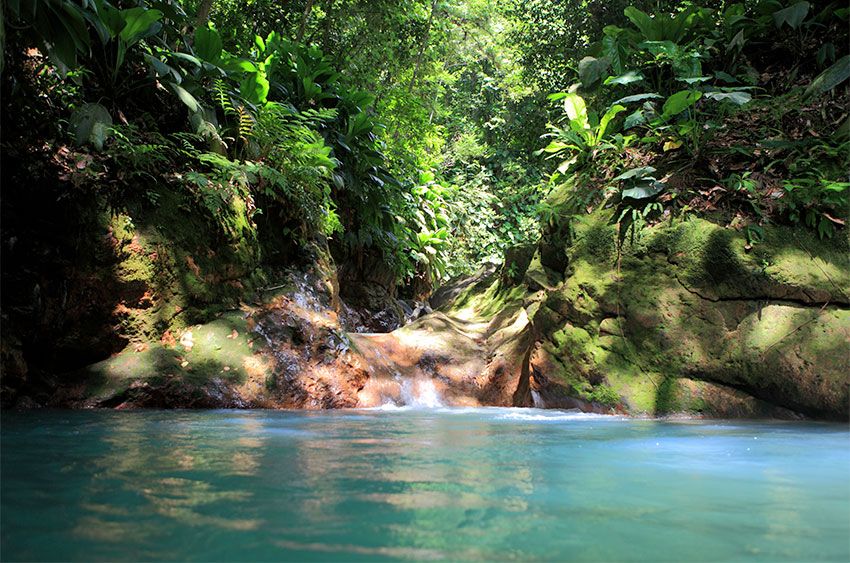 atma guadeloupe